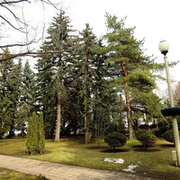 Участок сквера им.А.Джатдоева между ул.Дзержинского и Домом Правительства.