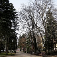 Участок сквера им.А.Джатдоева между театром драмы им.М.Ю.Лермонтова и ул.Михаила Морозова