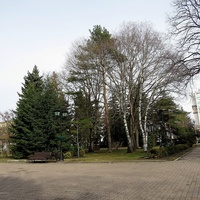 Участок сквера им.А.Джатдоева между ул.Дзержинского и Домом Правительства.