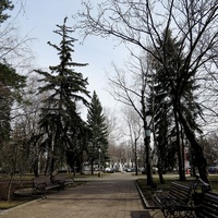 Участок сквера им.А.Джатдоева с юго-западной стороны Дома Правительства.