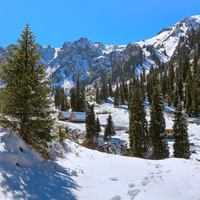 Алматы.  Иле-Алатауский национальный парк. Альплагерь Туюк-Су. ( Верховья Малого Алматинского ущелья )