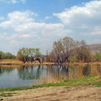 Пруд на Кирпичном