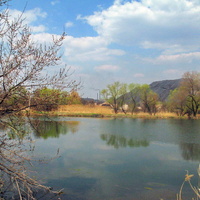 Пруд на Кирпичном