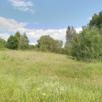 Новгородская обл. Холмскиц р-н. Д. Силагино, все что осталось...