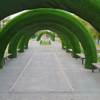 Жалпактал Аллея Выпускников