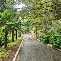 Санаторий "Горный" в п.г.т. Курпаты. Дорожки между корпусами.