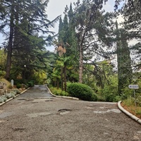 Санаторий "Горный" в п.г.т. Курпаты. Дорожки между корпусами.