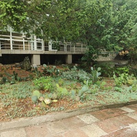 Санаторий "Горный" в п.г.т. Курпаты. Дорожка перед бассейном.