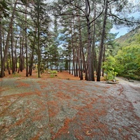 Парк санатория "Горный" в п.г.т. Курпаты.