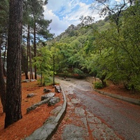 Парк санатория "Горный" в п.г.т. Курпаты.