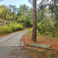 Парк санатория "Горный" в п.г.т. Курпаты.