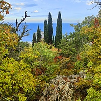 Парк санатория "Горный" в п.г.т. Курпаты. Вид на акваторию Чёрного моря.