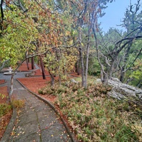 Парк санатория "Горный" в п.г.т. Курпаты.