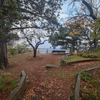 Парк санатория "Горный" в п.г.т. Курпаты. Вид на акваторию Чёрного моря.