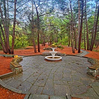 Парк санатория "Горный" в п.г.т. Курпаты.