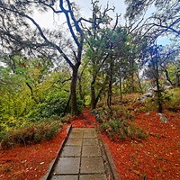 Парк санатория "Горный" в п.г.т. Курпаты.