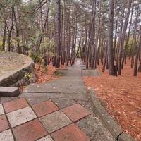 Парк санатория "Горный" в п.г.т. Курпаты.