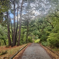 Парк санатория "Горный" в п.г.т. Курпаты.