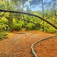 Парк санатория "Горный" в п.г.т. Курпаты.