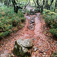 Спуск к санаторию "Горный" от Царской (Солнечной) тропы.