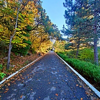 Санаторий "Горный" в п.г.т. Курпаты. Дорожки между корпусами.