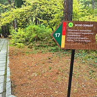 Парк санатория "Горный" в п.г.т. Курпаты.