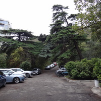 Парк бывшего санатория имени Пальмиро Тольятти в Курпатах. Слева - высотный ЖК "Южная Пальмира".