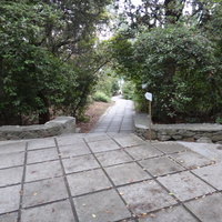 Парк бывшего санатория имени Пальмиро Тольятти в Курпатах.