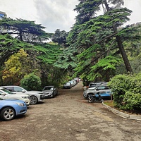 Парк бывшего санатория имени Пальмиро Тольятти в Курпатах.