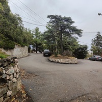 Парк бывшего санатория имени Пальмиро Тольятти в Курпатах.