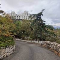 Парк бывшего санатория имени Пальмиро Тольятти в Курпатах. Корпус «Дружба», построенный в 1985г. совместно с чехами.