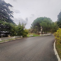 Парк бывшего санатория имени Пальмиро Тольятти в Курпатах.