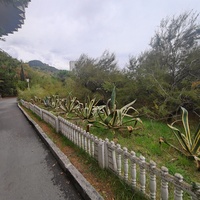 Парк бывшего санатория имени Пальмиро Тольятти в Курпатах. Корпус «Дружба», построенный в 1985г. совместно с чехами (знаменитая «летающая тарелка»).