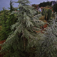 Вид со смотровой площадки у клуба и столовой санатория "Горный" на территорию бывшего санатория имени Пальмиро Тольятти в Курпатах.