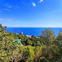 Вид на Черноморское побережье с Царской (солнечной) тропы. Внизу - корпуса санатория "Горный", здание с большой ротондой - клуб со столовой, с зелёной крышей - бассейн. У берега - строящийся 14-и этажный апарт-комплекс «Царский Берег».