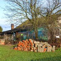 Осень в Мартынове.