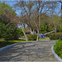 Весна на Малаховом Кургане