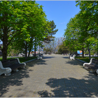 Весна на Малаховом Кургане