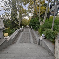 Часть центральной или главной аллеи (променада) Приморского парка около ул. Коммунаров, 2А.