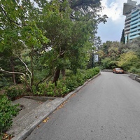 На территории Приморского парка имени Ю. А. Гагарина. Справа  апарт-отель"Парус".