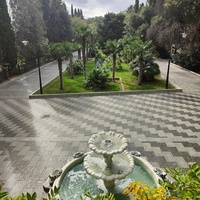 В Приморском парке имени Ю. А. Гагарина. Пальмовая аллея с фонтаном.