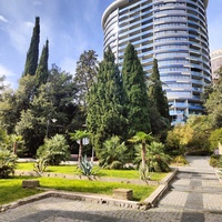В Приморском парке имени Ю. А. Гагарина. Пальмовая аллея и "SPA-отель Зазеркалье».