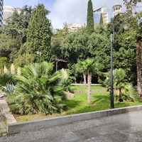 В Приморском парке имени Ю. А. Гагарина. Пальмовая аллея и "SPA-отель Зазеркалье».