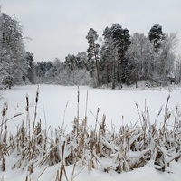 Пруд имени Лугинина.