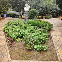 Пионерский парк. Бюст Бирюкову на улице Бирюкова. Установлен в 1989 г. Скульптор Федчук К. П.