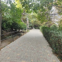 Аллея в сквере «Комсомолец».