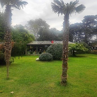 «Мидийное место» в сквере имени Калинина.