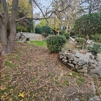 Сквер имени М. П. Чеховой.