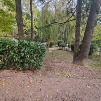 Сквер имени М. П. Чеховой.