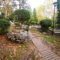 Сквер имени М. П. Чеховой.